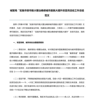 市容市貌大整治确保城市面貌大提升攻坚月活动工作总结范文 