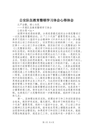 公安队伍教育整顿学习体会心得体会