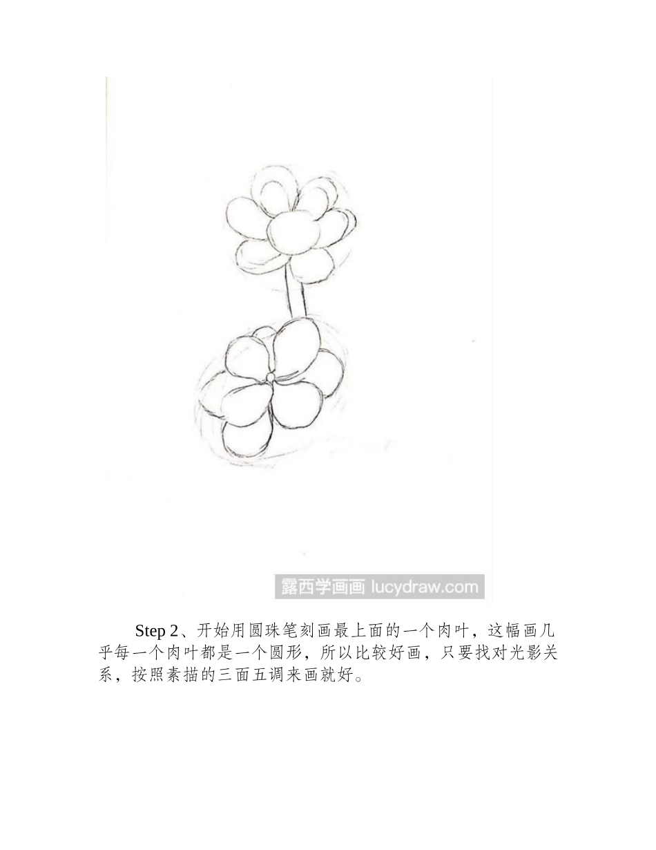 桃蛋的圆珠笔画法钢笔画教程1_第2页