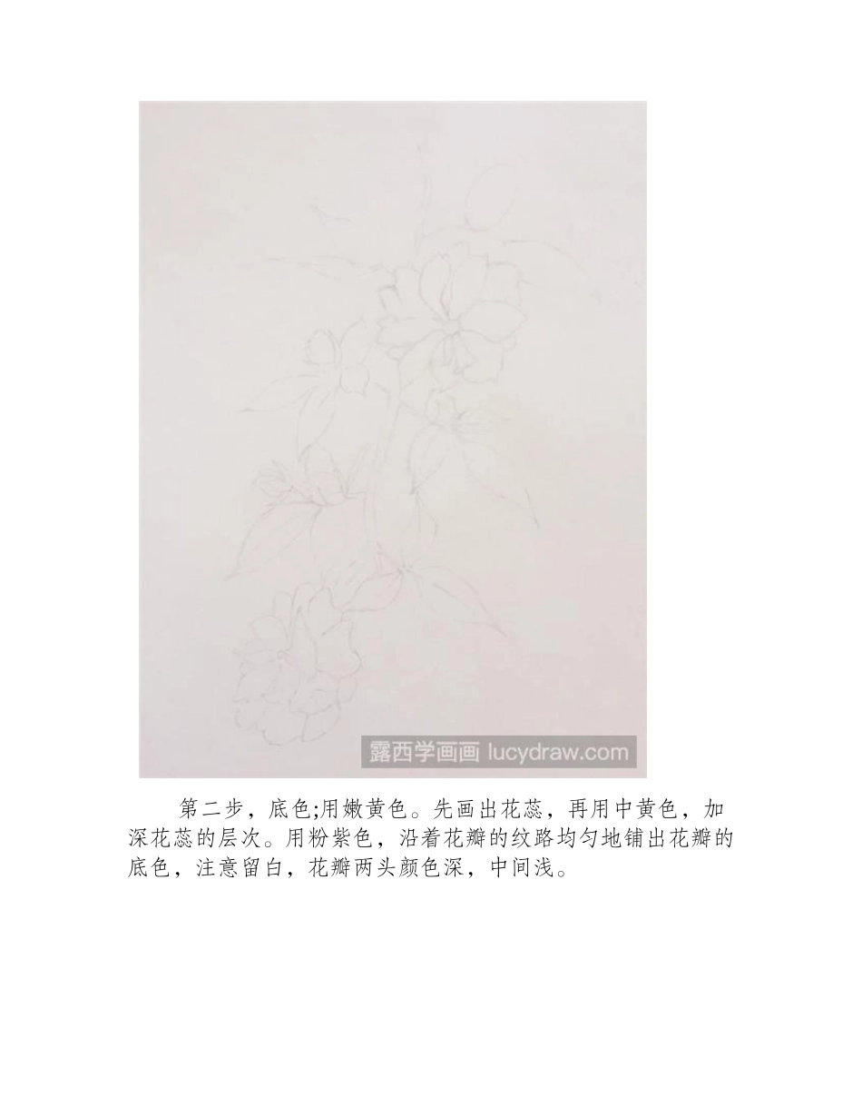 蔷薇简单手绘教程彩铅画教程_第2页