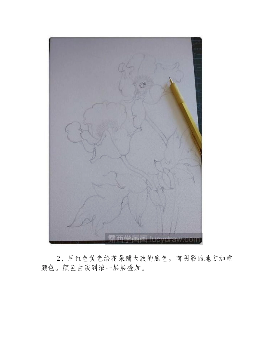 水彩画红罂粟怎么画水彩画教程_第2页