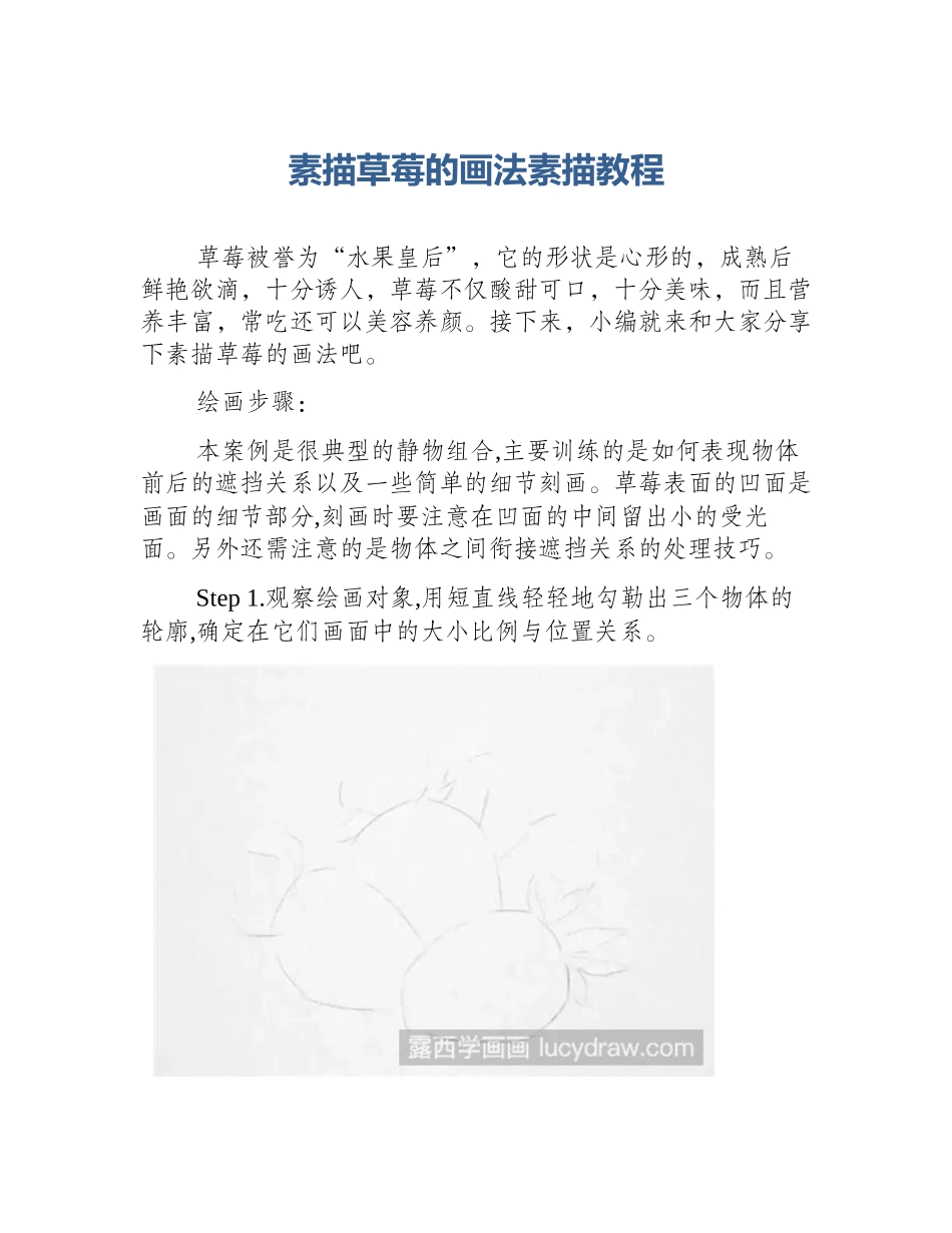 素描草莓的画法素描教程_第1页