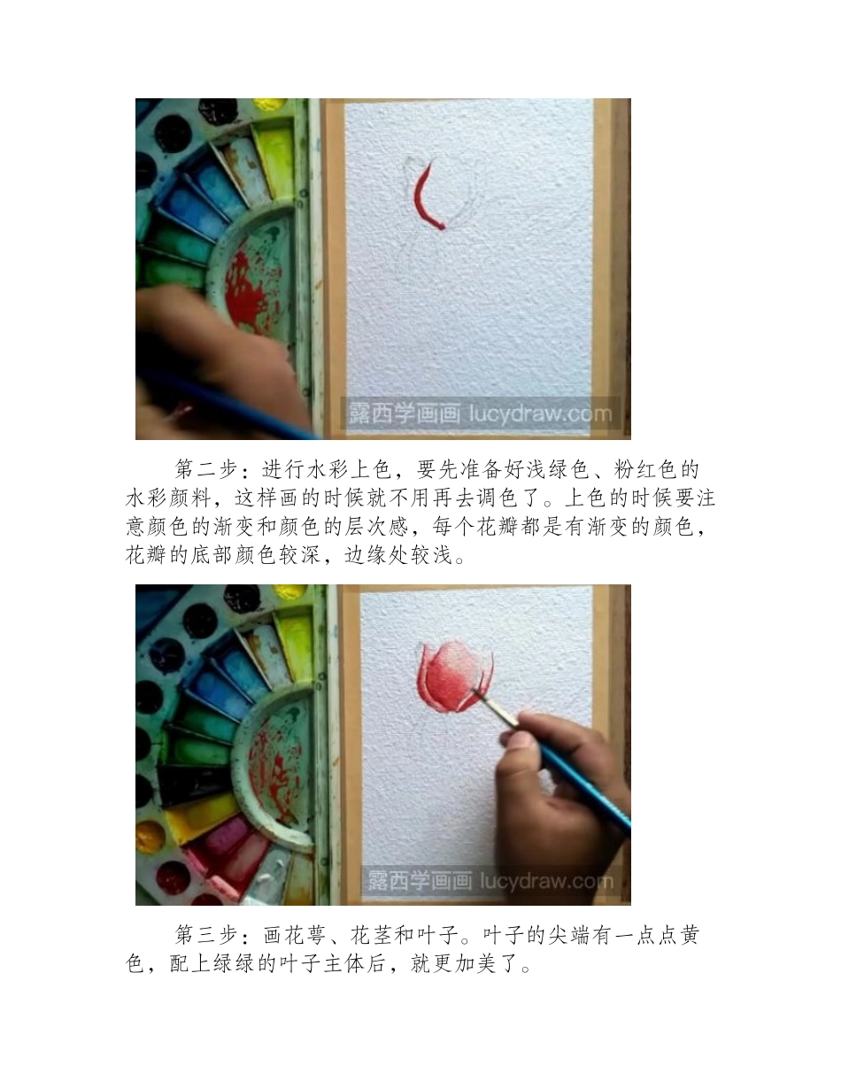 水彩手绘粉色郁金香步骤教程水彩画教程_第2页
