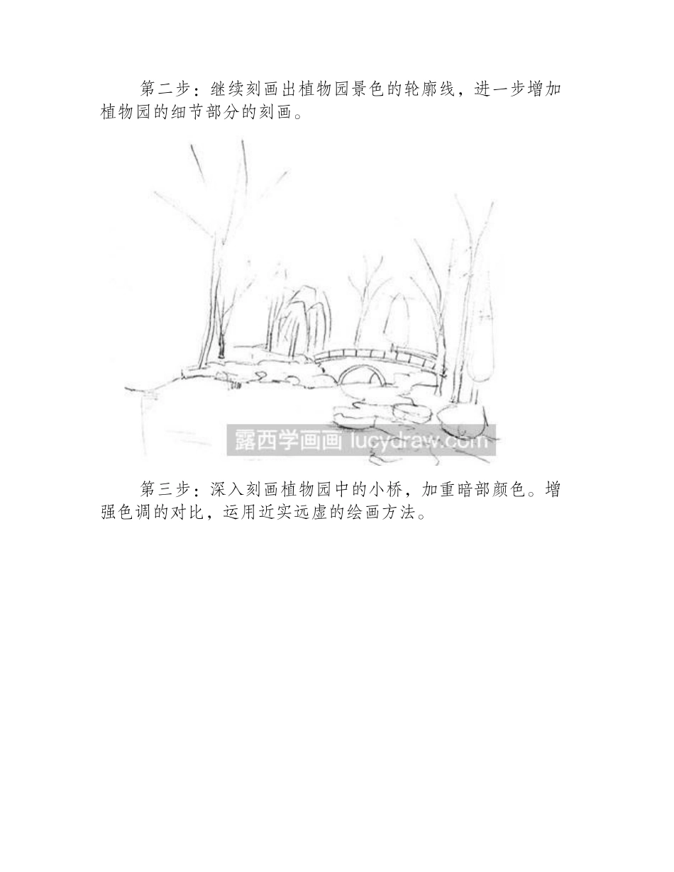 素描教程之怎么绘制植物园素描教程_第2页