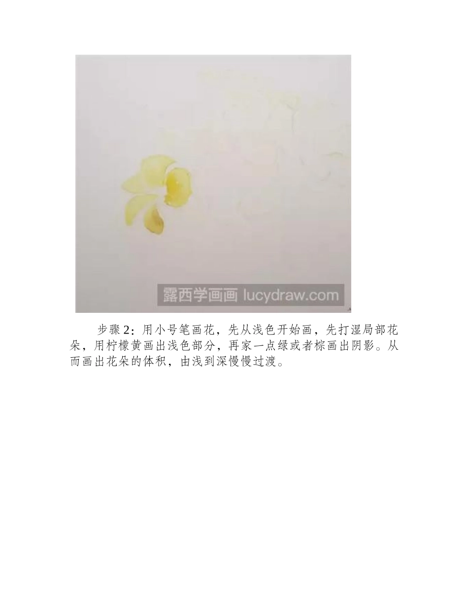 水彩画教程：教你画醡浆草水彩画教程_第2页