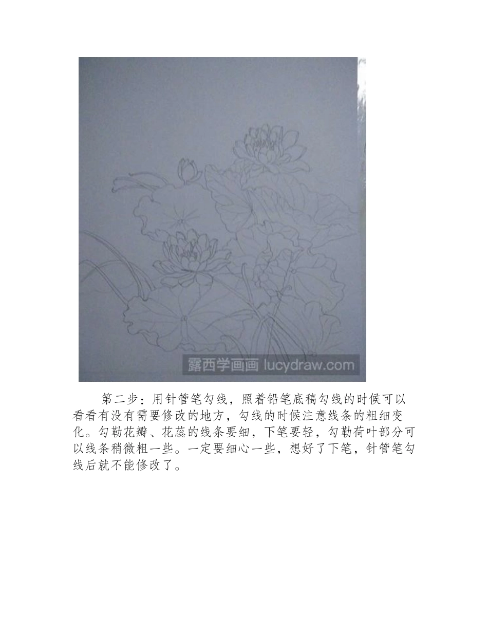 水粉画教程：教你画美丽的荷花水粉画教程_第2页