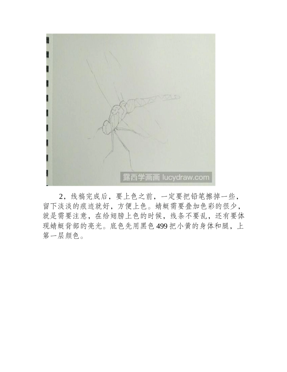 蜻蜓彩铅画教程彩铅画教程_第2页