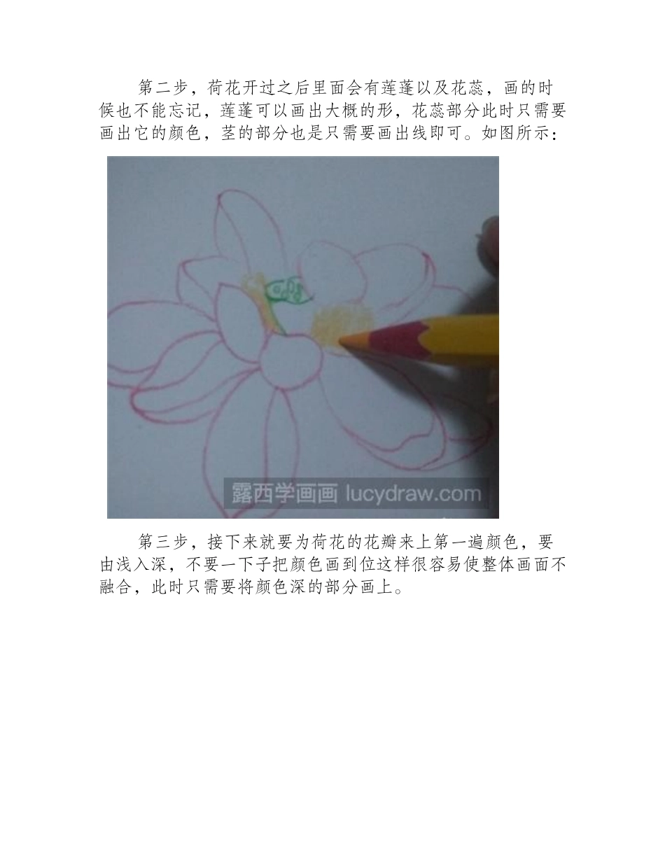 水彩画教程：荷花的画法水彩画教程_第2页