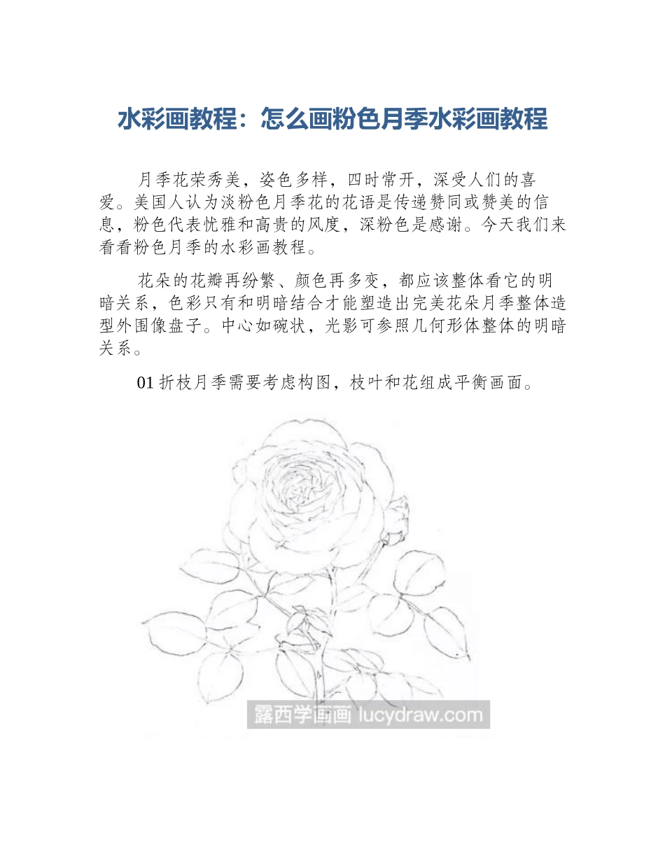 水彩画教程：怎么画粉色月季水彩画教程_第1页