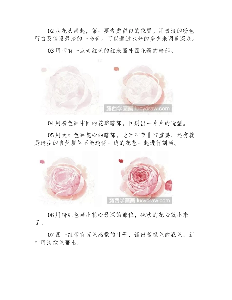 水彩画教程：怎么画粉色月季水彩画教程_第2页