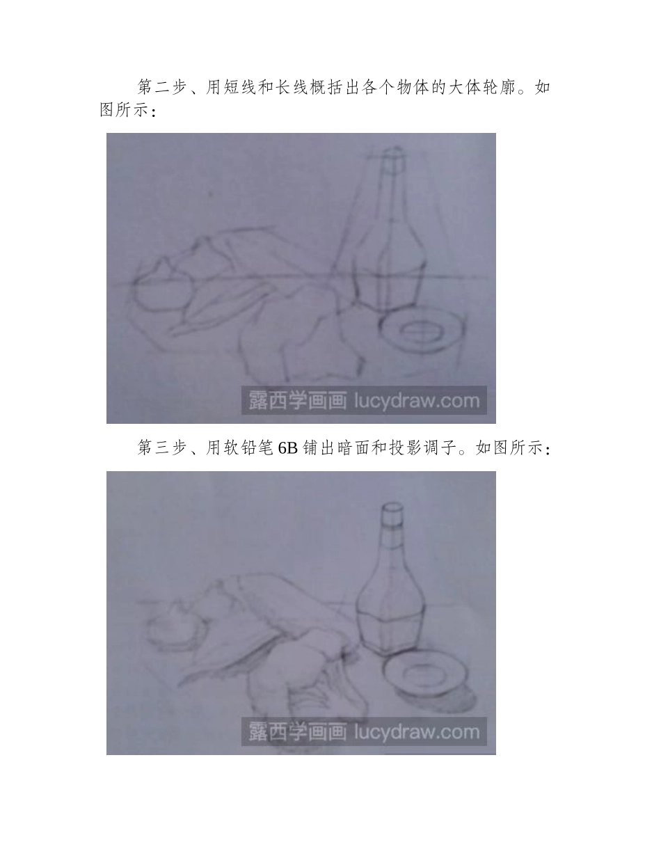 素描教程：教你画蔬菜和酱油素描教程_第2页