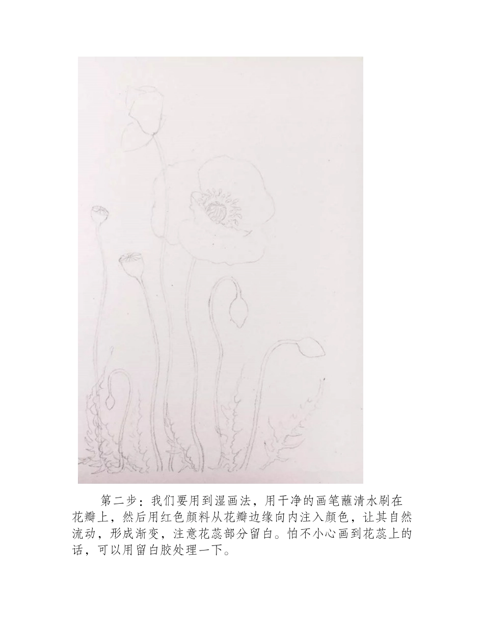 水彩画虞美人教程水彩画教程_第2页