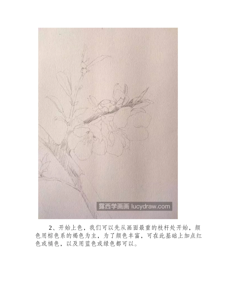水彩梨花怎么画_绘画过程是什么_水彩画教程_第2页