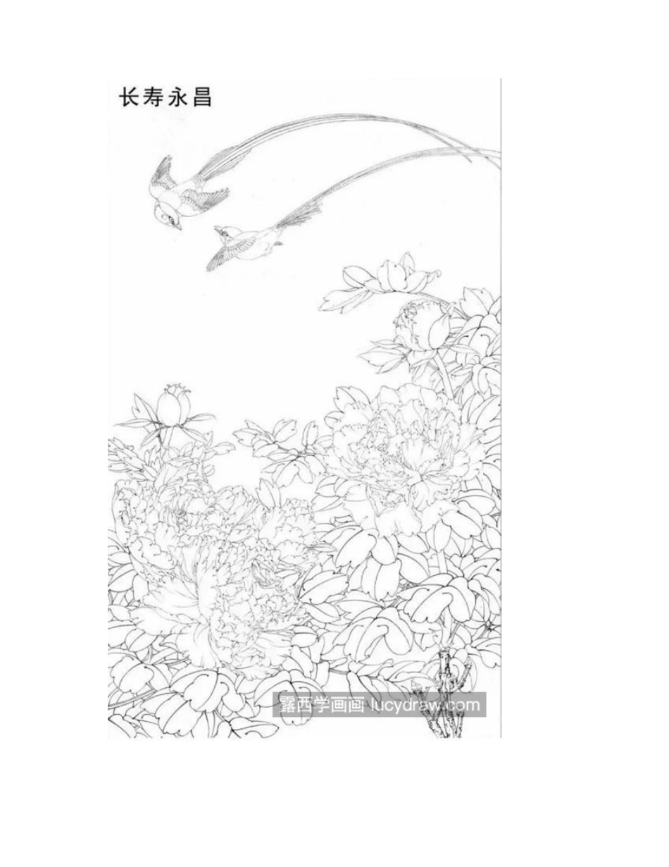 寿带鸟怎么画_具体的工笔画步骤有哪些_工笔画教程_第2页