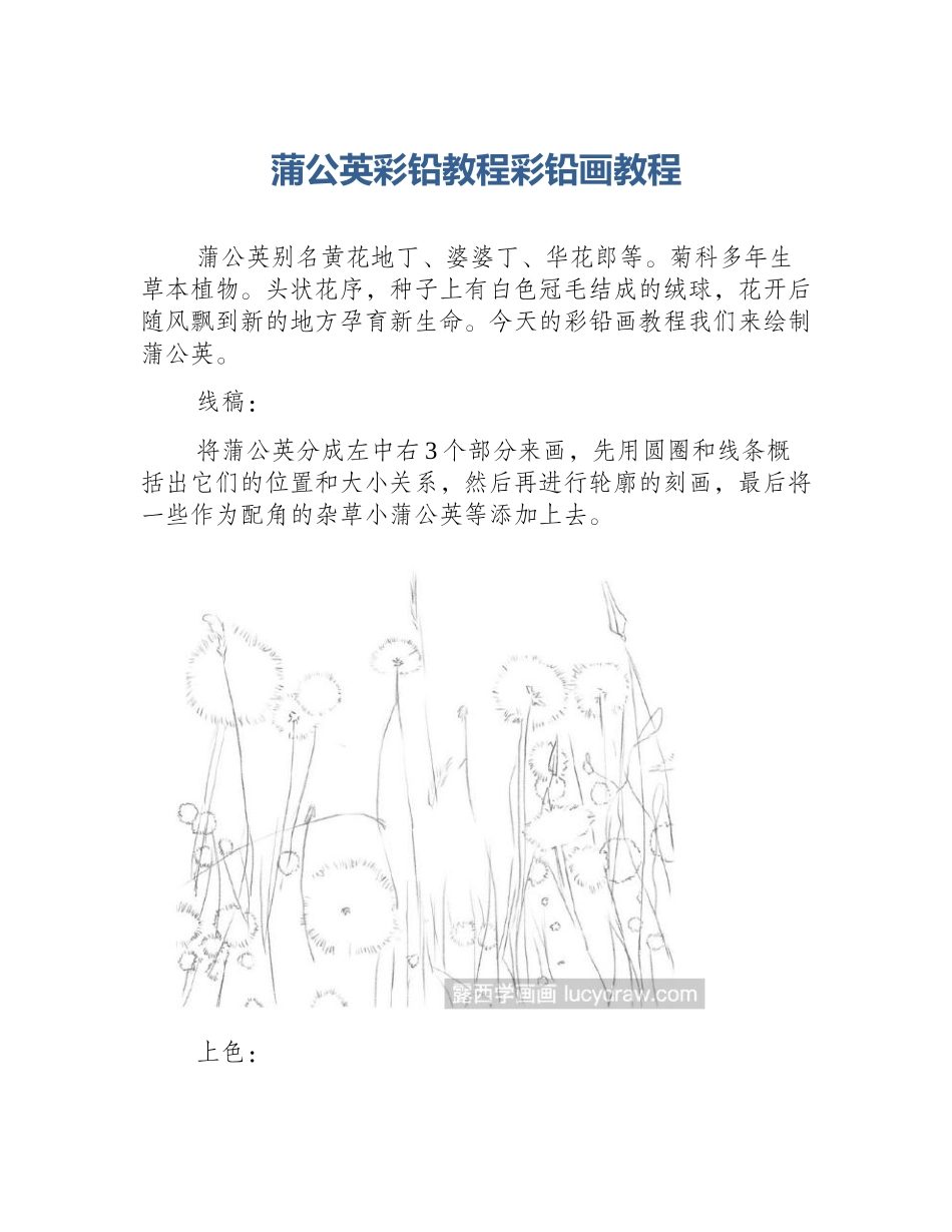 蒲公英彩铅教程彩铅画教程_第1页