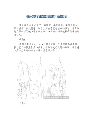 蒲公英彩铅教程彩铅画教程