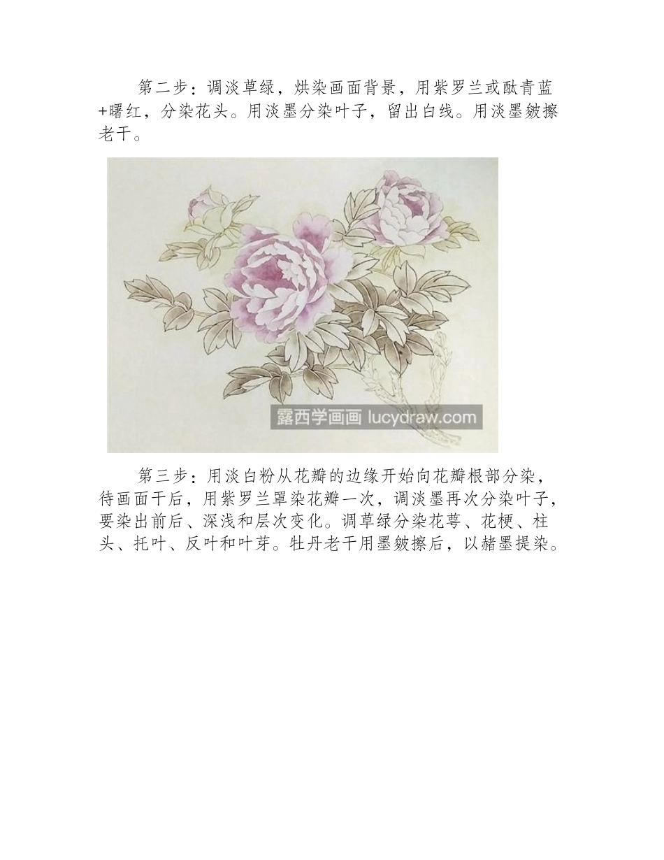 茄蓝丹纱怎么画_牡丹花工笔画步骤有几步_工笔画教程_第2页