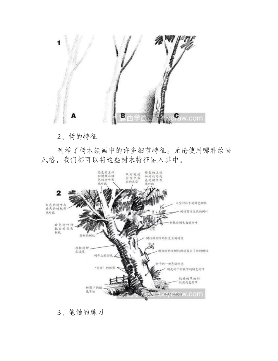 树素描教程素描教程_第2页