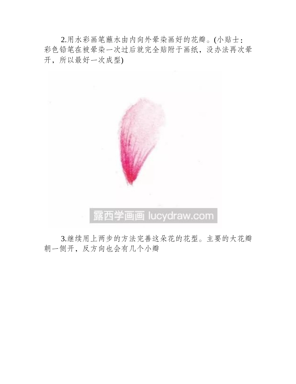 水溶性彩铅画花草教程彩铅画教程_第2页