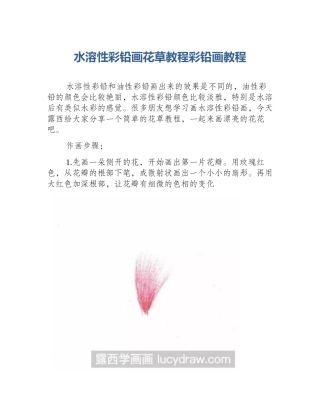 水溶性彩铅画花草教程彩铅画教程
