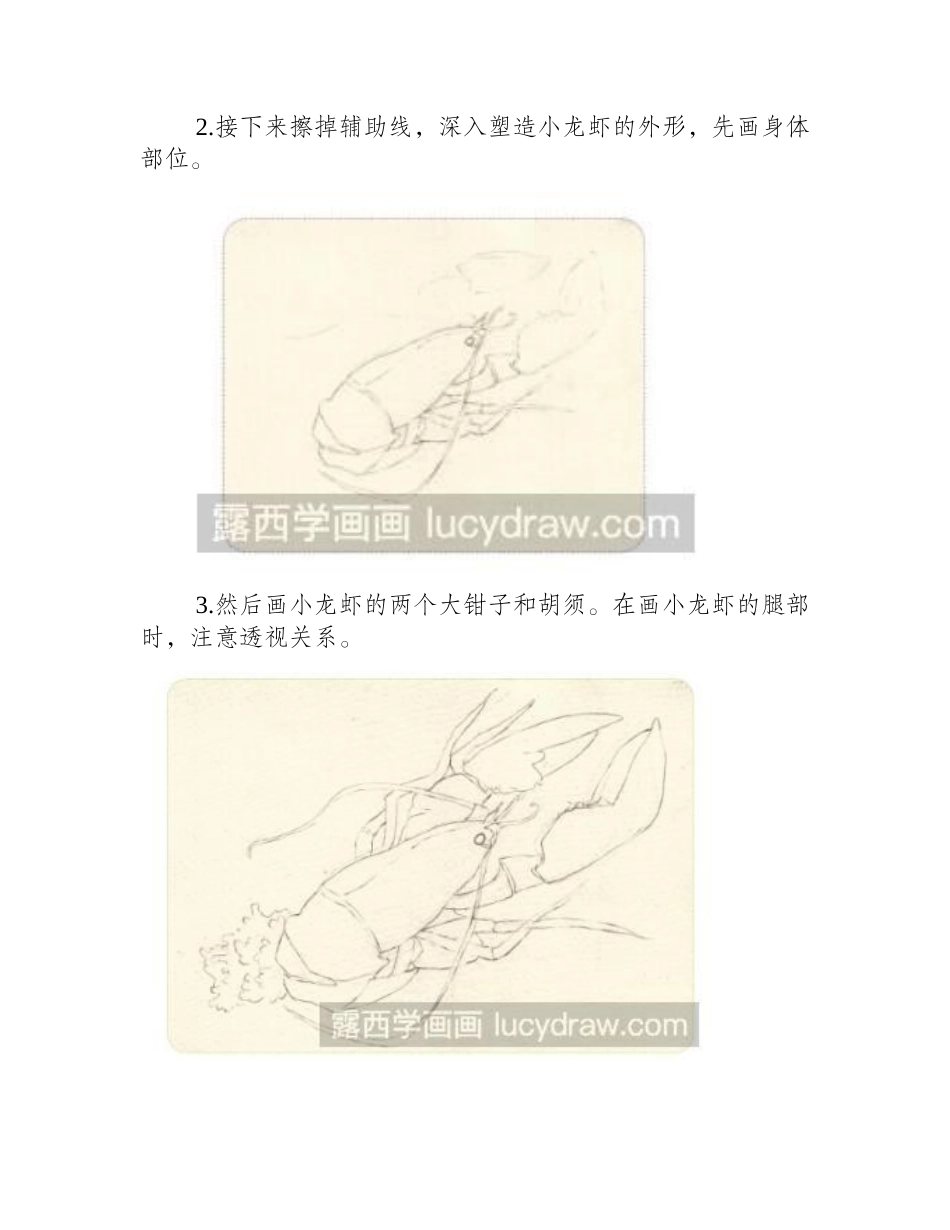水彩画小龙虾步骤教程水彩画教程2_第2页