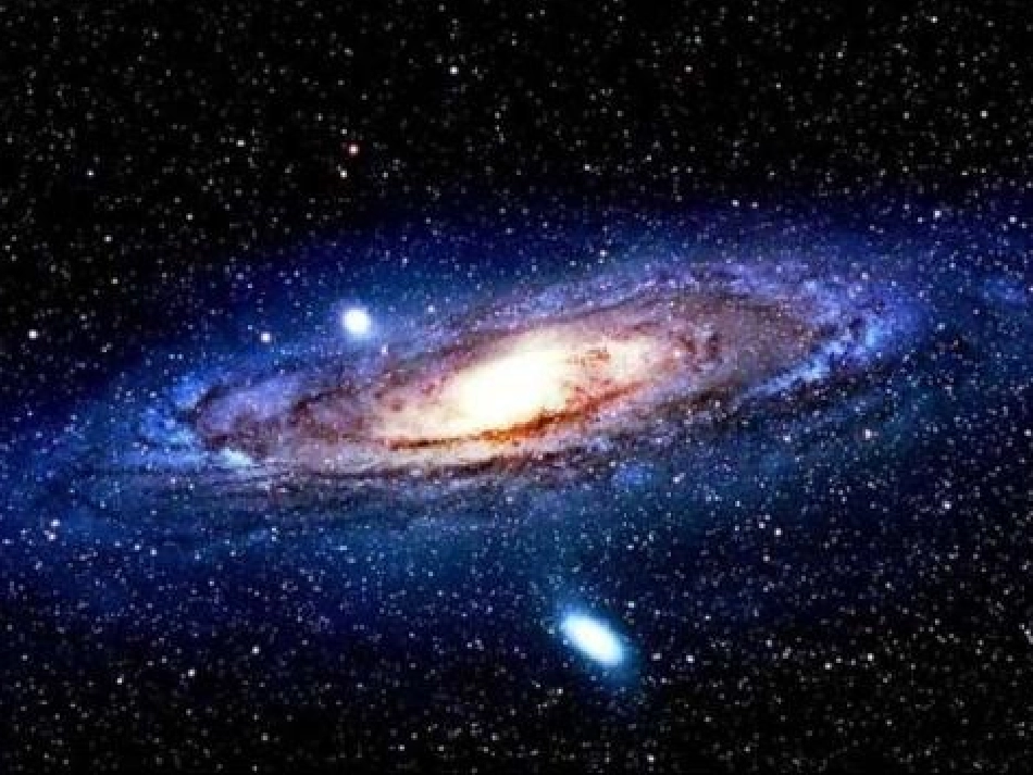 《美丽的生命》_第1页