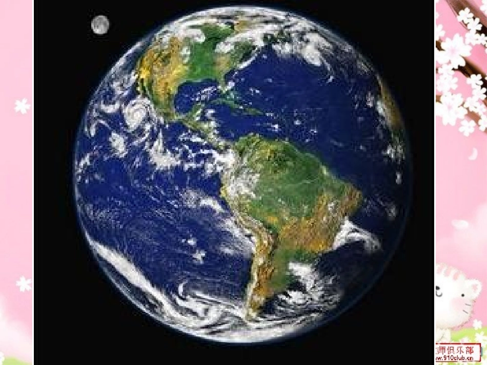 《美丽的生命》_第3页