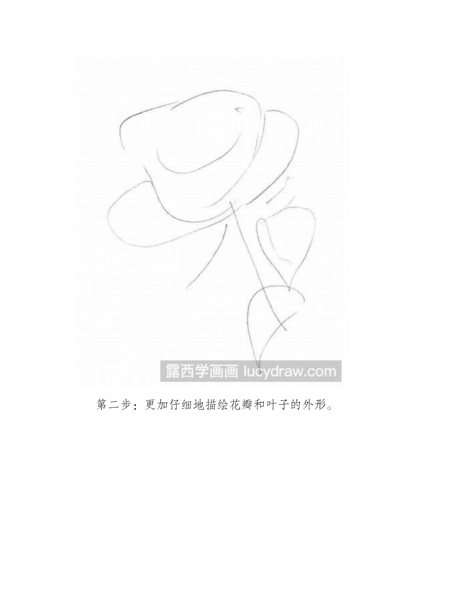 素描教程：玫瑰花的画法素描教程_第2页