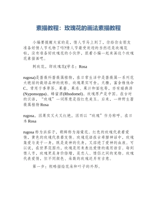 素描教程：玫瑰花的画法素描教程