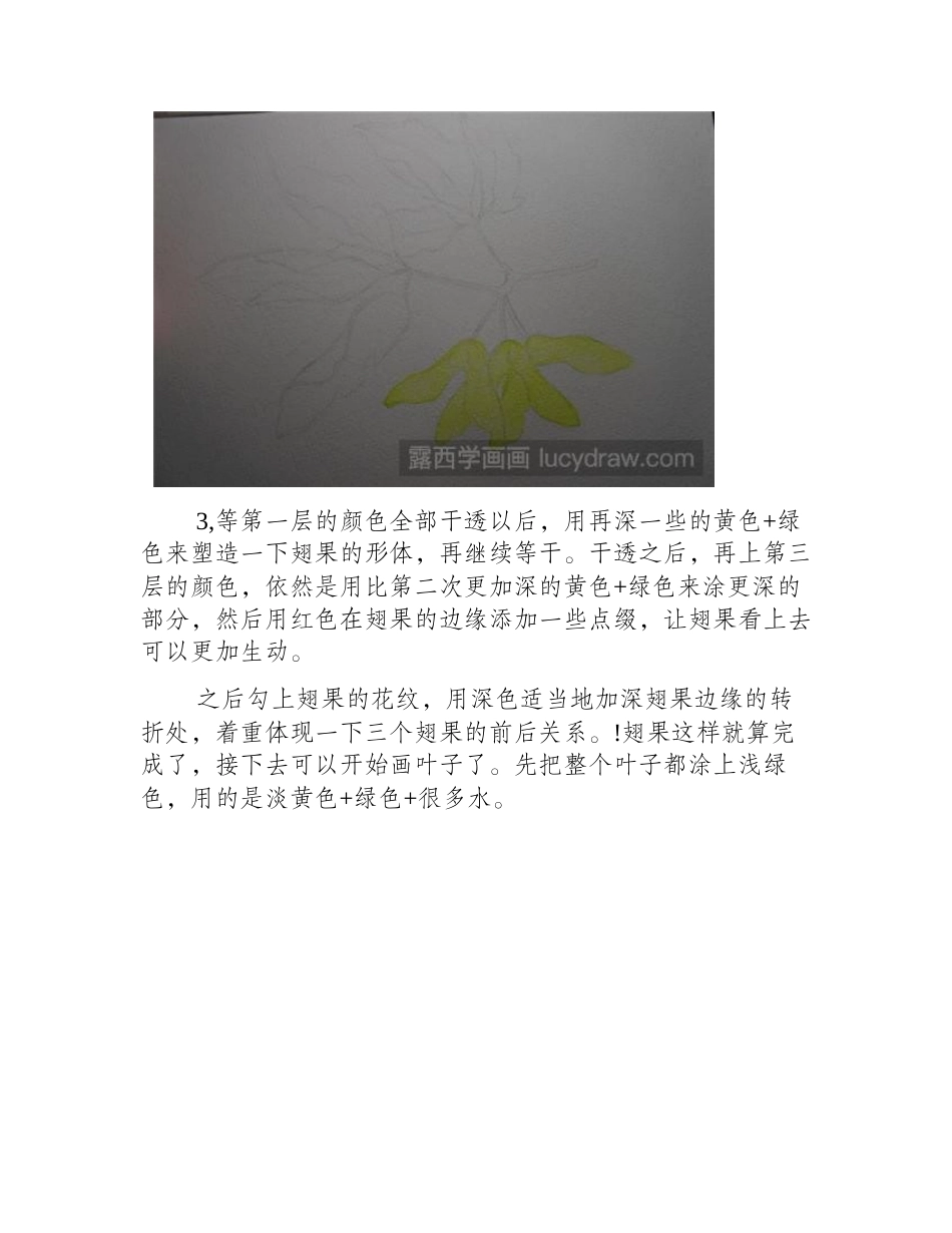 槭树叶水彩画教程水彩画教程_第2页