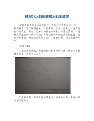 槭树叶水彩画教程水彩画教程