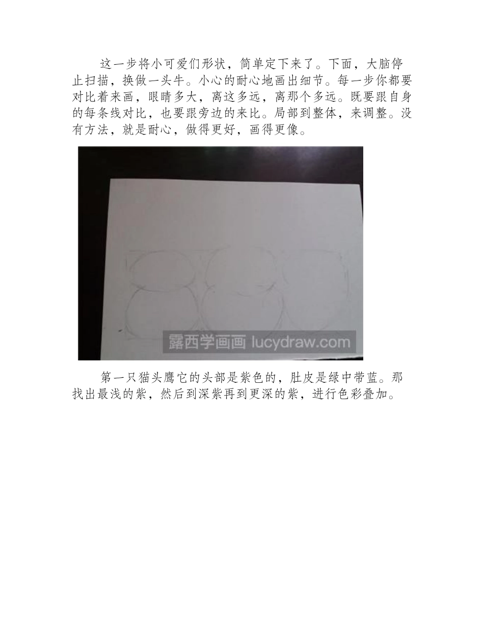 七彩猫头鹰画画教程儿童画教程_第2页