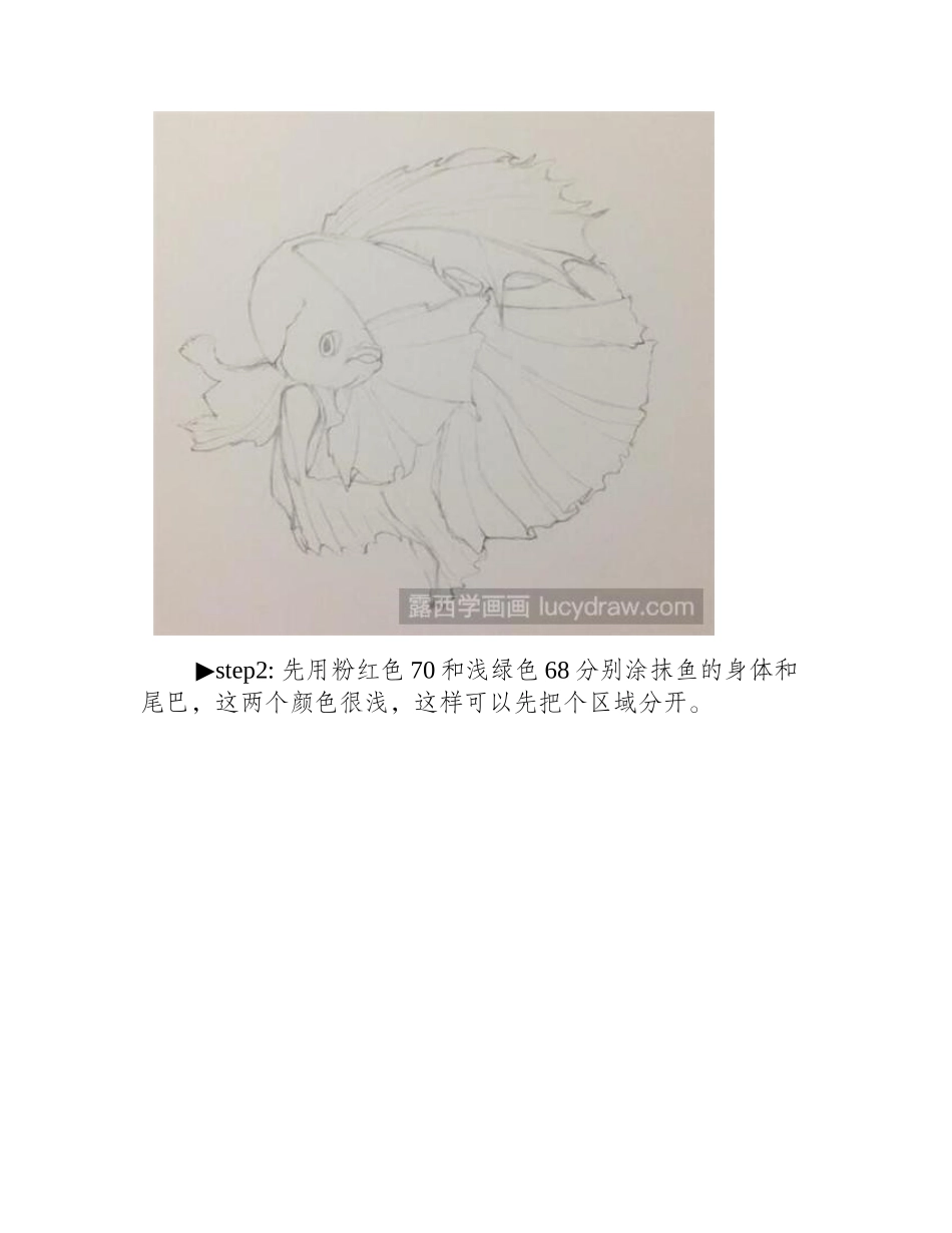 泰国斗鱼彩铅画教程彩铅画教程_第2页