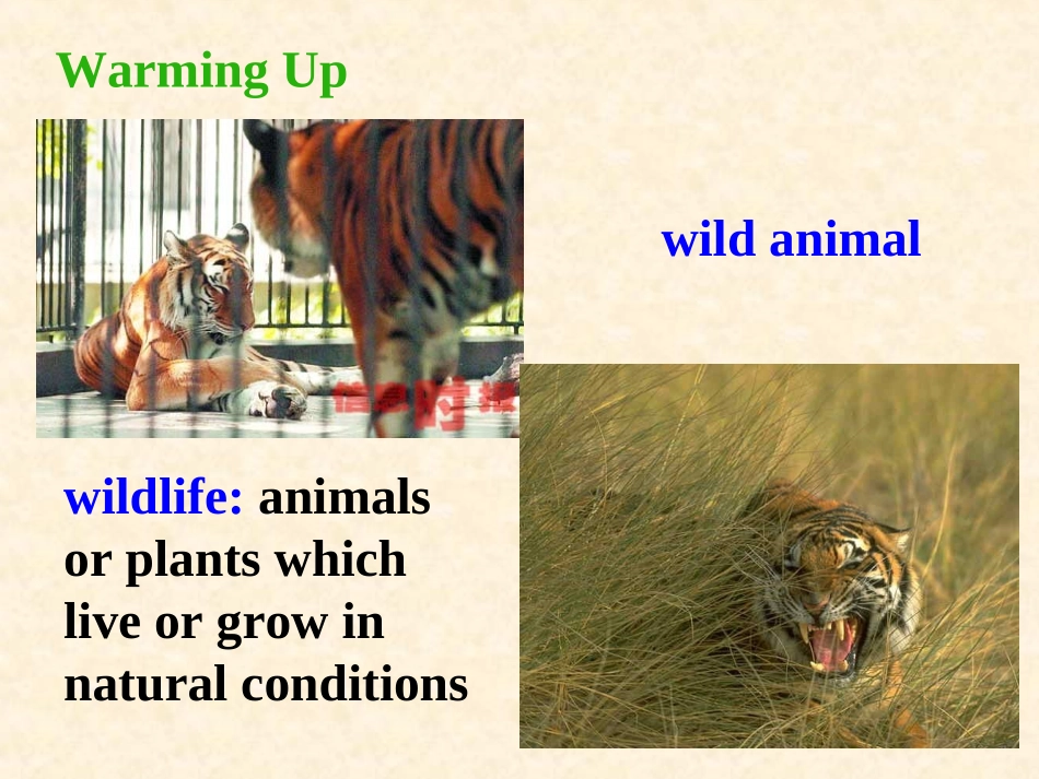 人教英语必修二同课异构课件：Unit4WildlifeprotectionSectionAWarmingUpandReading2_第2页