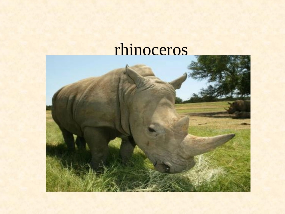 人教英语必修二同课异构课件：Unit4WildlifeprotectionSectionAWarmingUpandReading2_第3页