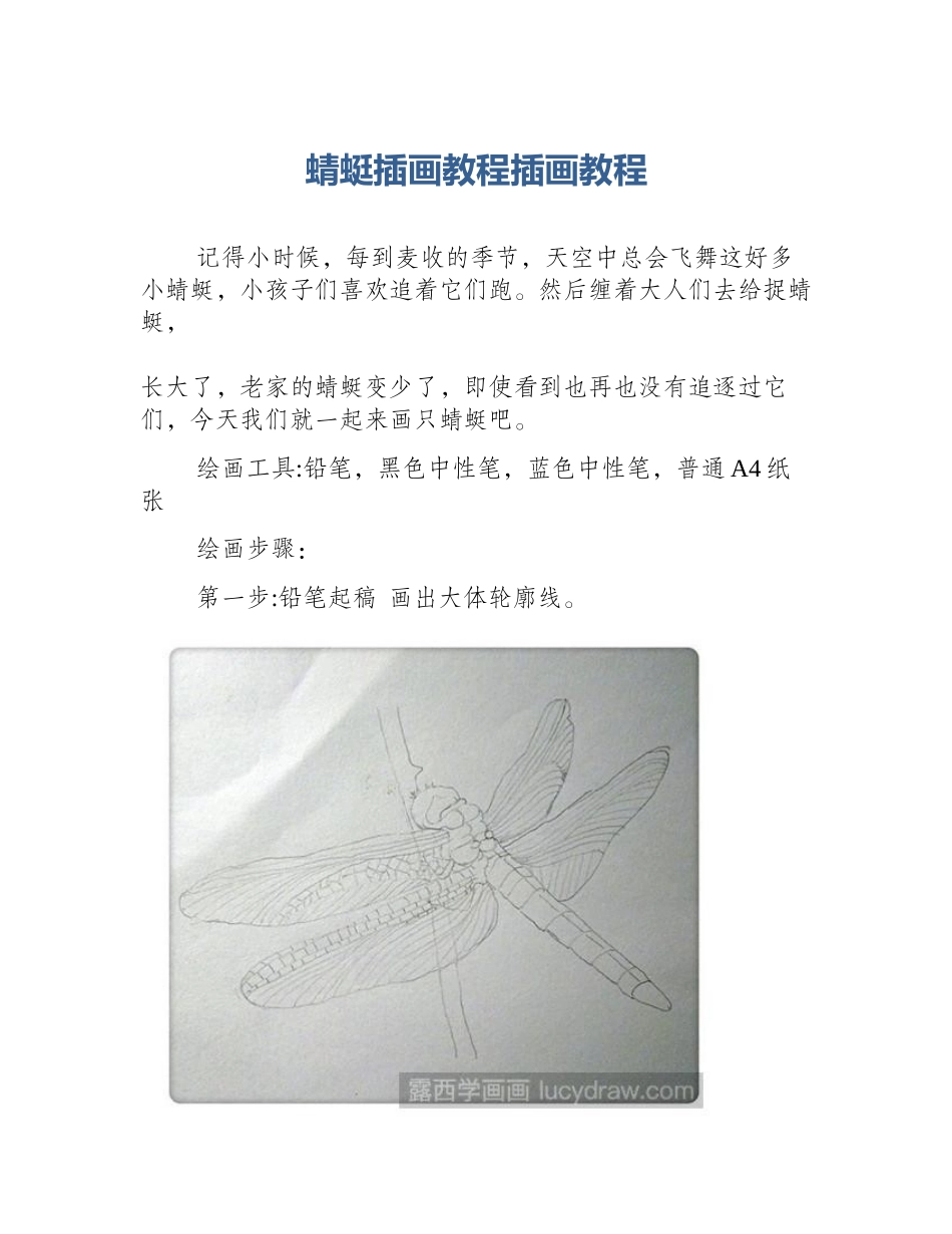 蜻蜓插画教程插画教程_第1页