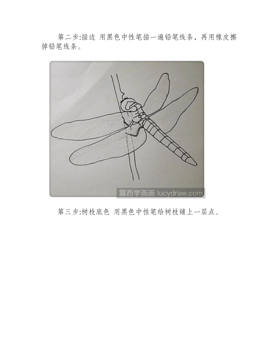 蜻蜓插画教程插画教程_第2页