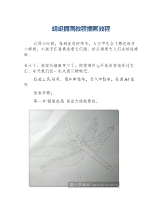 蜻蜓插画教程插画教程