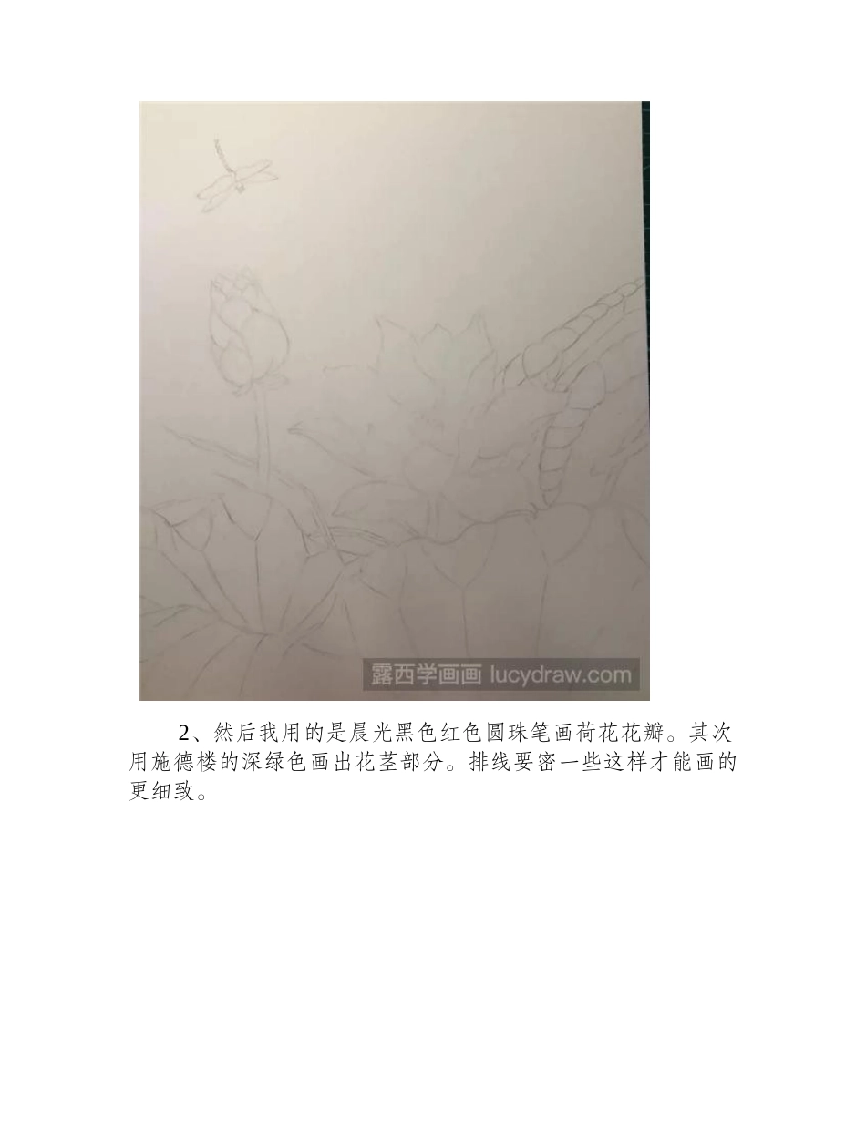 蜻蜓荷花怎么画_怎么用圆珠笔画出工笔画的效果_工笔画教程_第2页