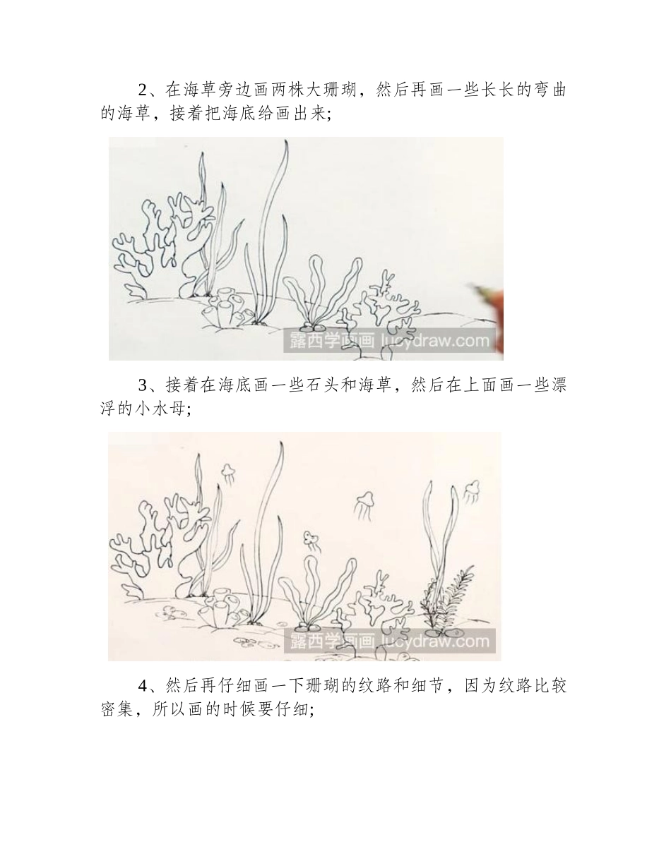 珊瑚简笔画怎么画_绘画步骤是什么_简笔画教程1_第2页
