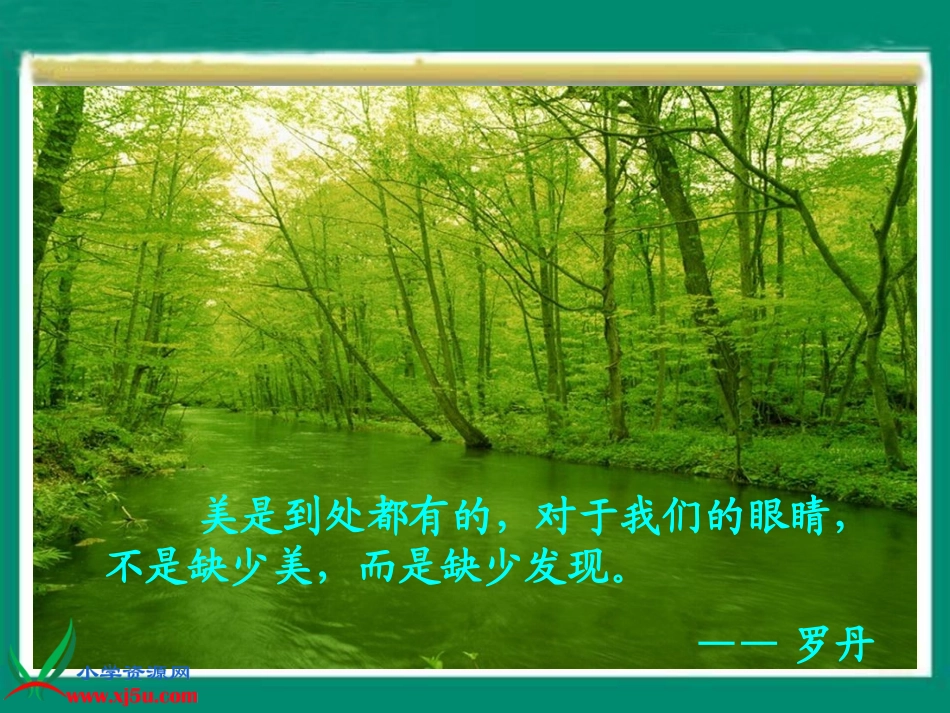 一只小鸟课件_第1页