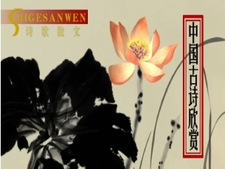 《己亥杂诗》课件