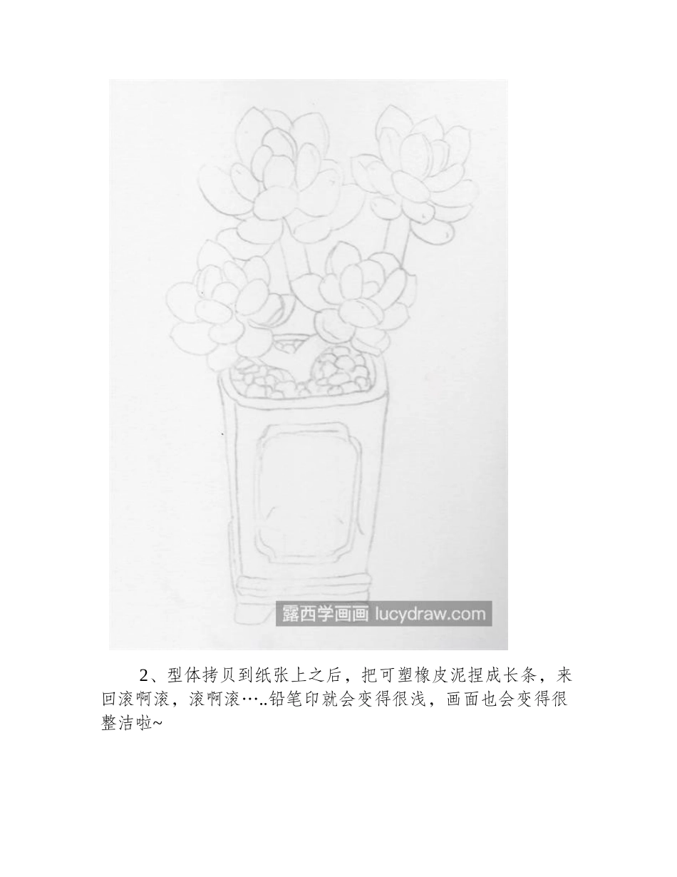 水彩多肉怎么画_详细的绘画流程是什么_水彩画教程_第2页