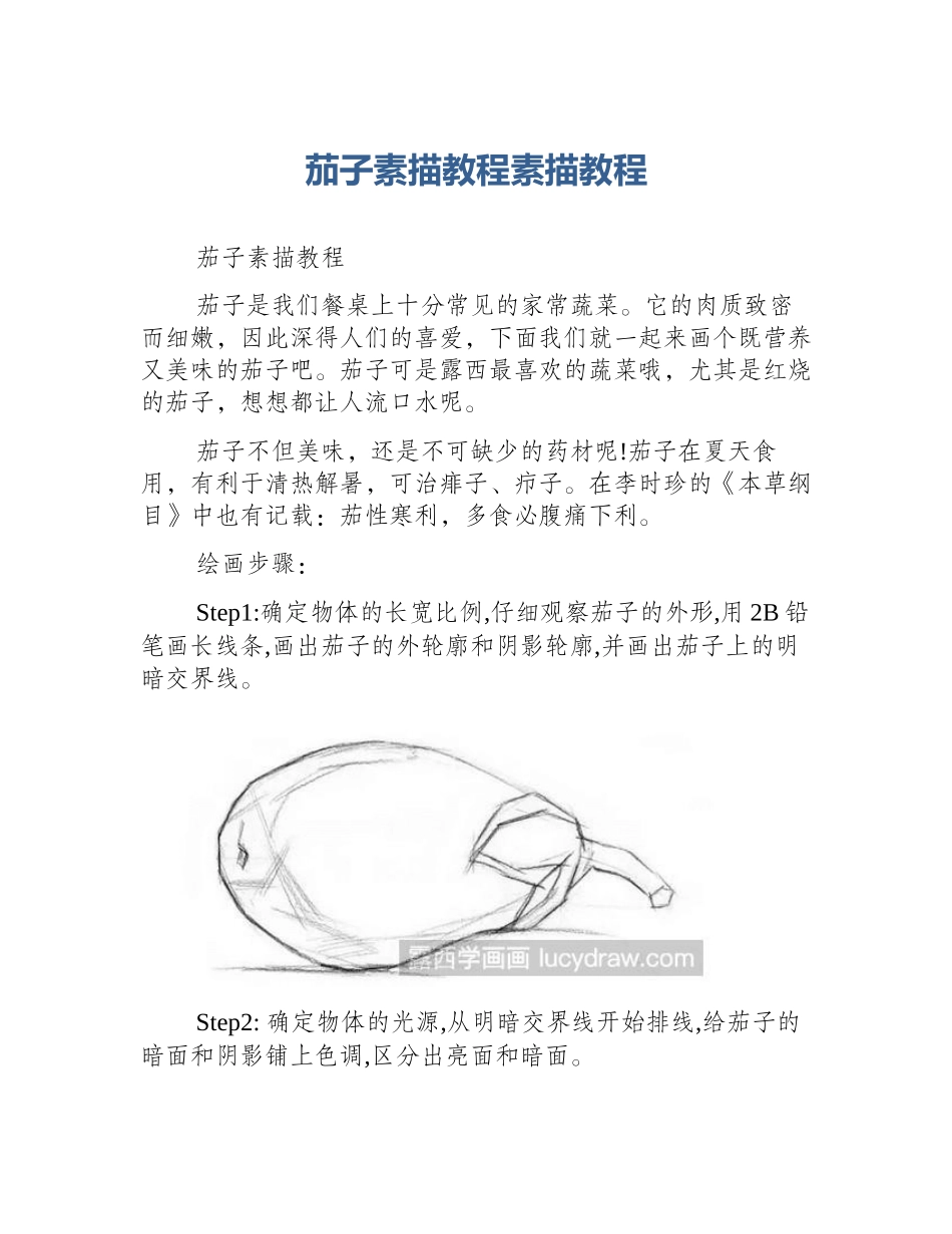 茄子素描教程素描教程_第1页