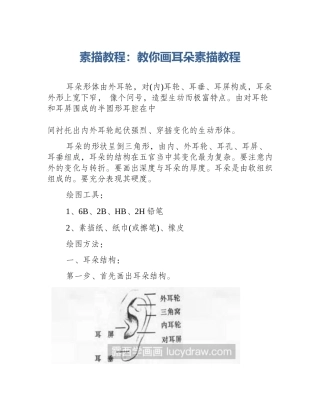 素描教程：教你画耳朵素描教程