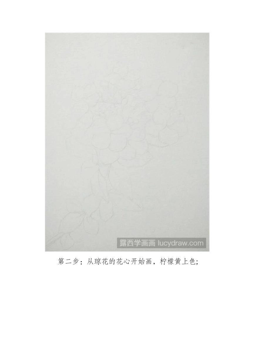 琼花水彩画教程水彩画教程_第2页