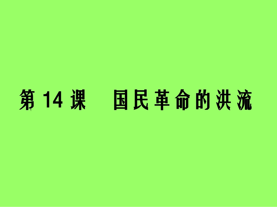 国民革命的洪流_第1页