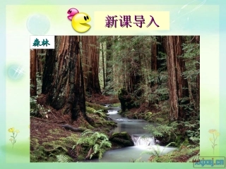 爱护植被_绿化祖国