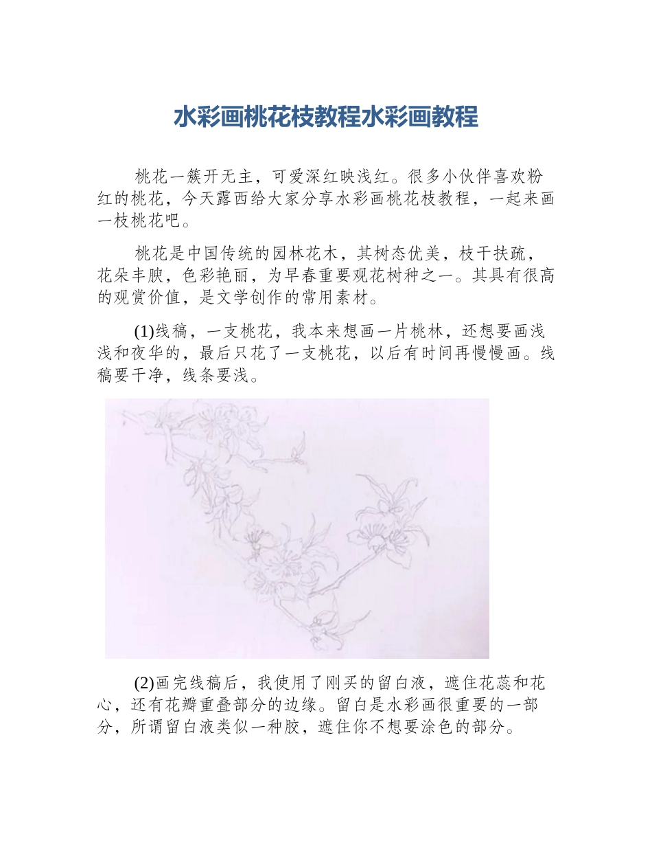 水彩画桃花枝教程水彩画教程_第1页