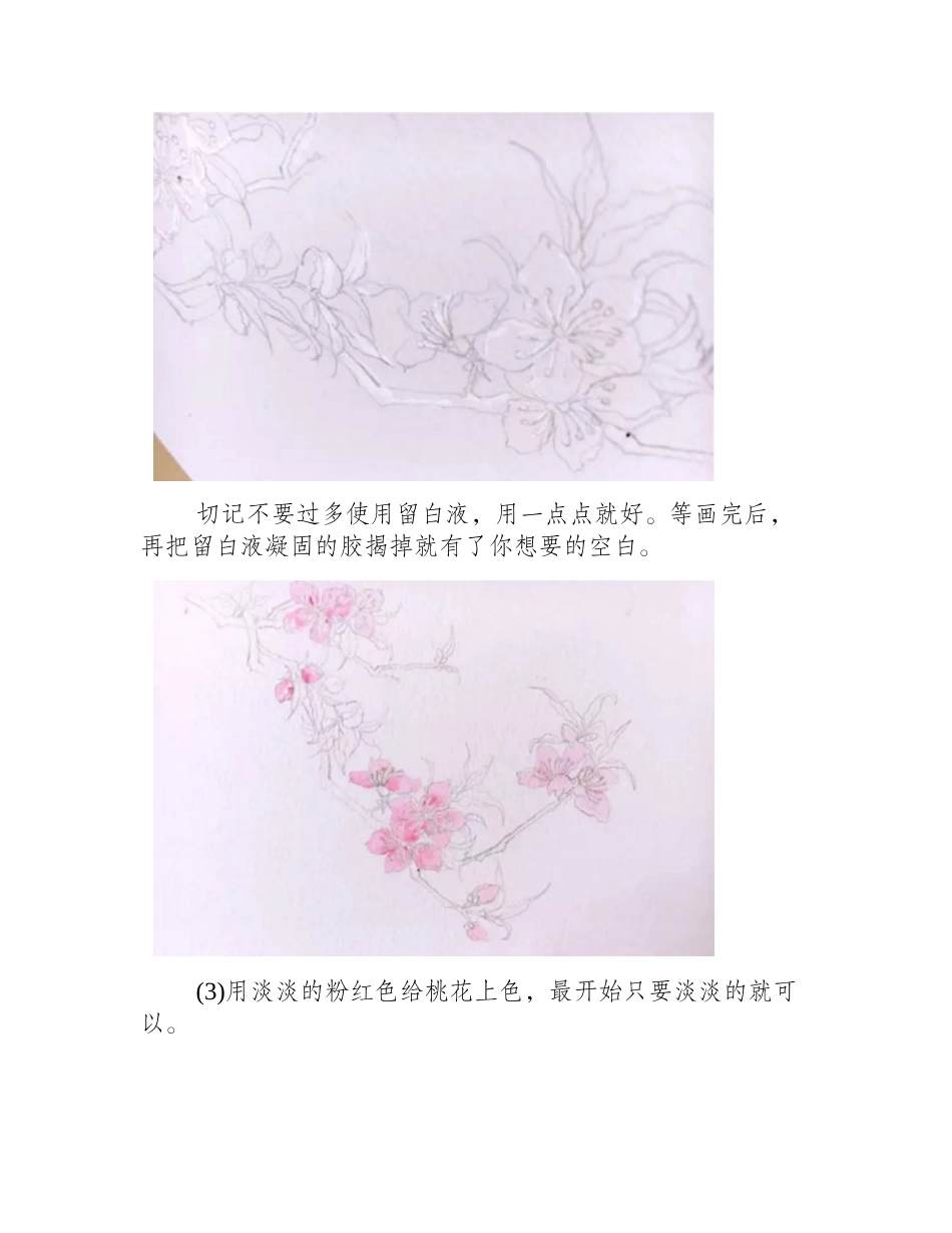水彩画桃花枝教程水彩画教程_第2页